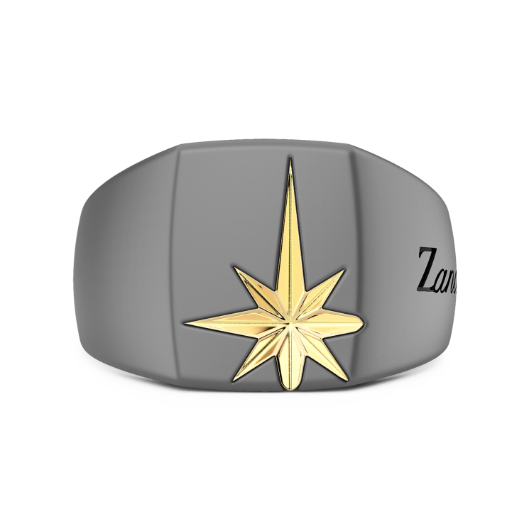 Zancan Herren-Siegelring aus Titan und 18k Gold