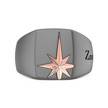 Bague chevalière pour homme Zancan en titane et or 18k