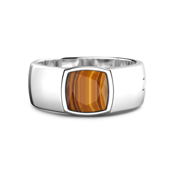 Silver ring with tiger's eye stone.