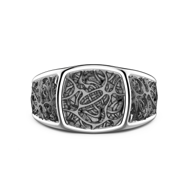 Zancan-Siegelring aus Silber.