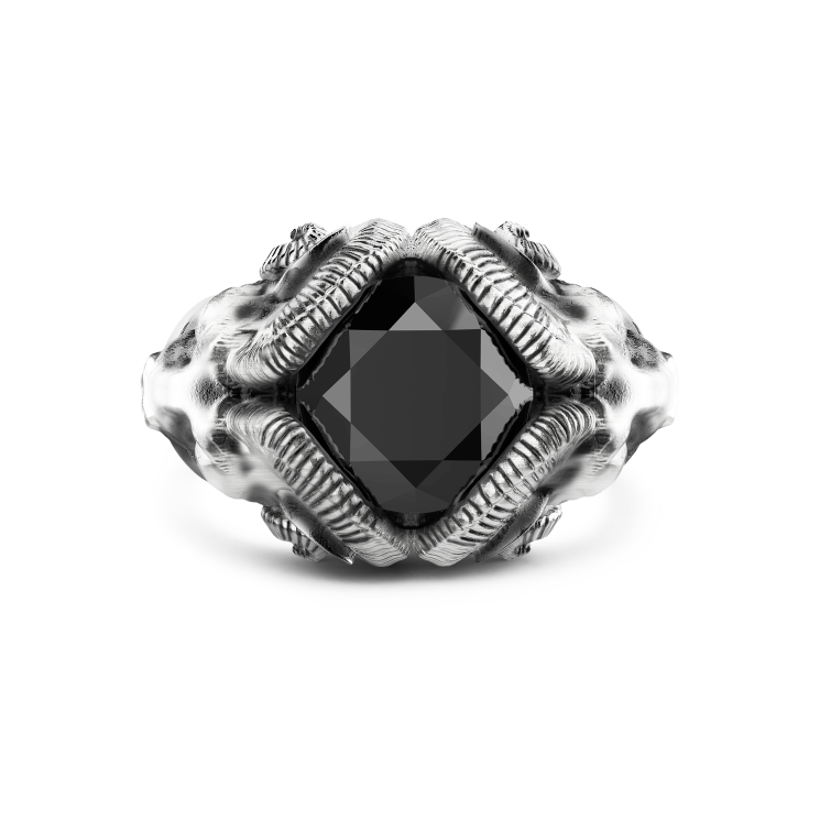 Anello Zancan con arieti ed onice in argento.
