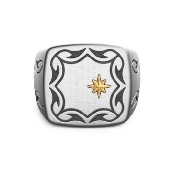 Zancan silver tribal signet ring.